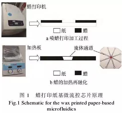 使用蜡打印加工纸基微流控芯片的方法，其基本原理见图1。