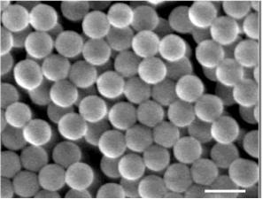图13：在用聚四氟乙烯（PTFE）钝化壁的微型反应器中合成的胶体二氧化硅颗粒的扫描电子显微镜（SEM）图像，以防止颗粒沉积。比例尺代表1μm。来自Khan等人的图片 “胶体二氧化硅的微流体合成”